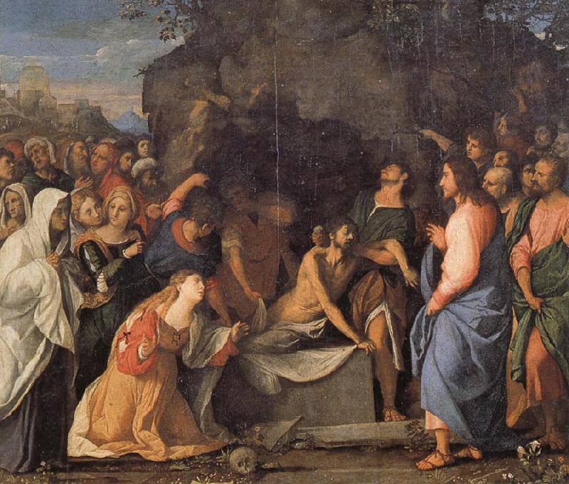 Palma Vecchio The Raising of Lazarus Germany oil painting art